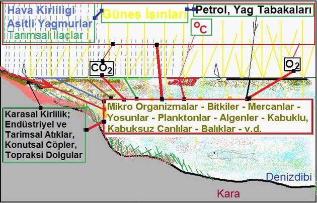 ekosistem1b